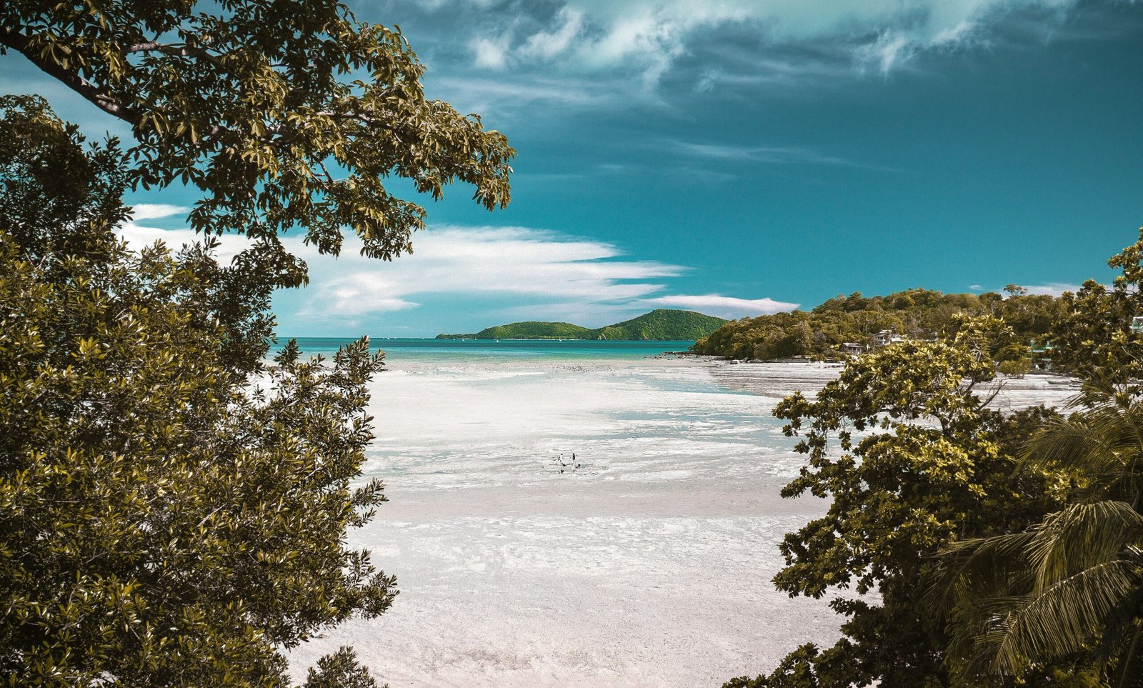 aerial photography of white sand beach during daytime